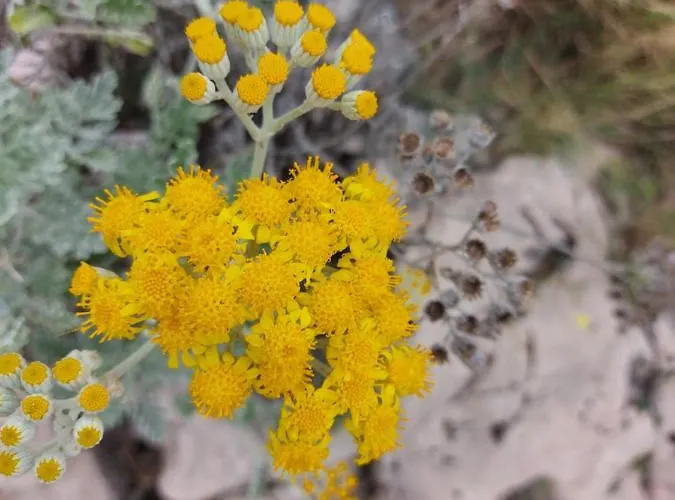 The Location In Makarska,free P, Option Bikes Pensionat Makarska