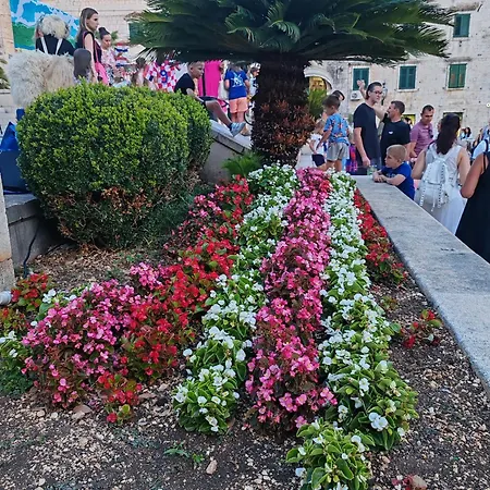 The Location In Makarska,free P, Option Bikes