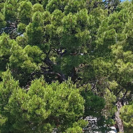 The Location In Makarska,free P,apt Mile,bikes Макарська