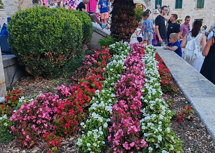 The Location In Makarska,free P, Option Bikes