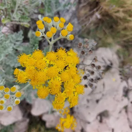 The Location In Makarska,free P, Option Bikes Gasthuis Makarska